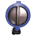 Cast Iron Body U-Type Flange Butterfly Valve D41X